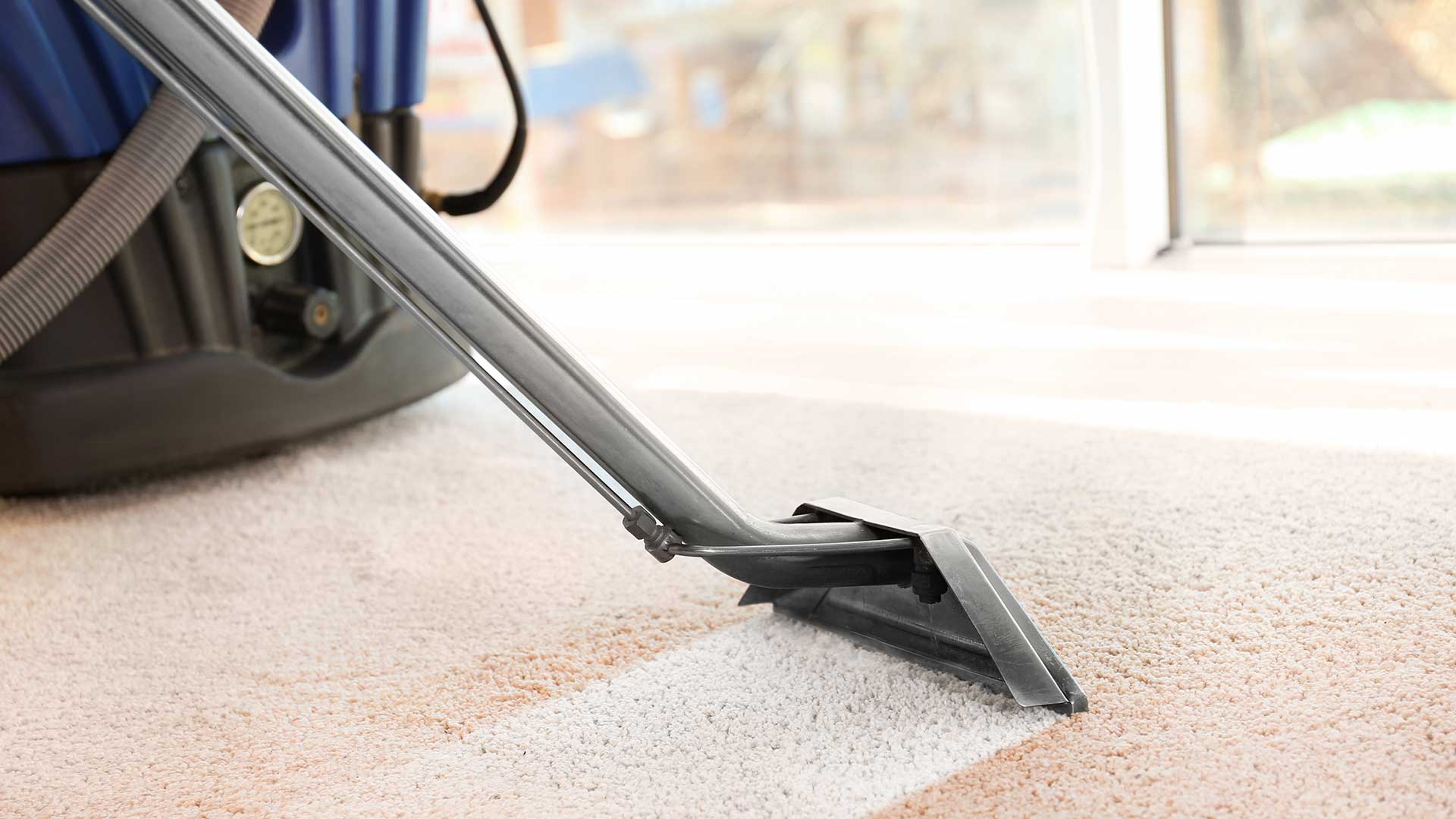 Top 15 Best Carpet Cleaning Services in Orlando, Florida