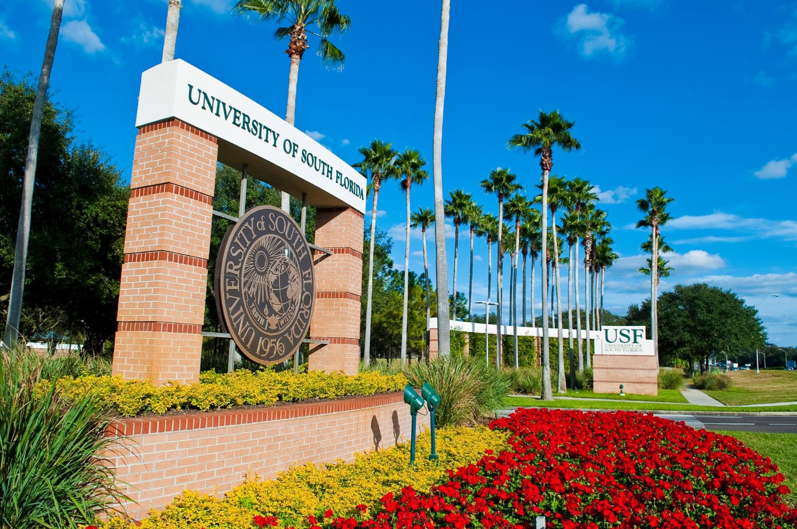 The 15 Best Universities in Florida
